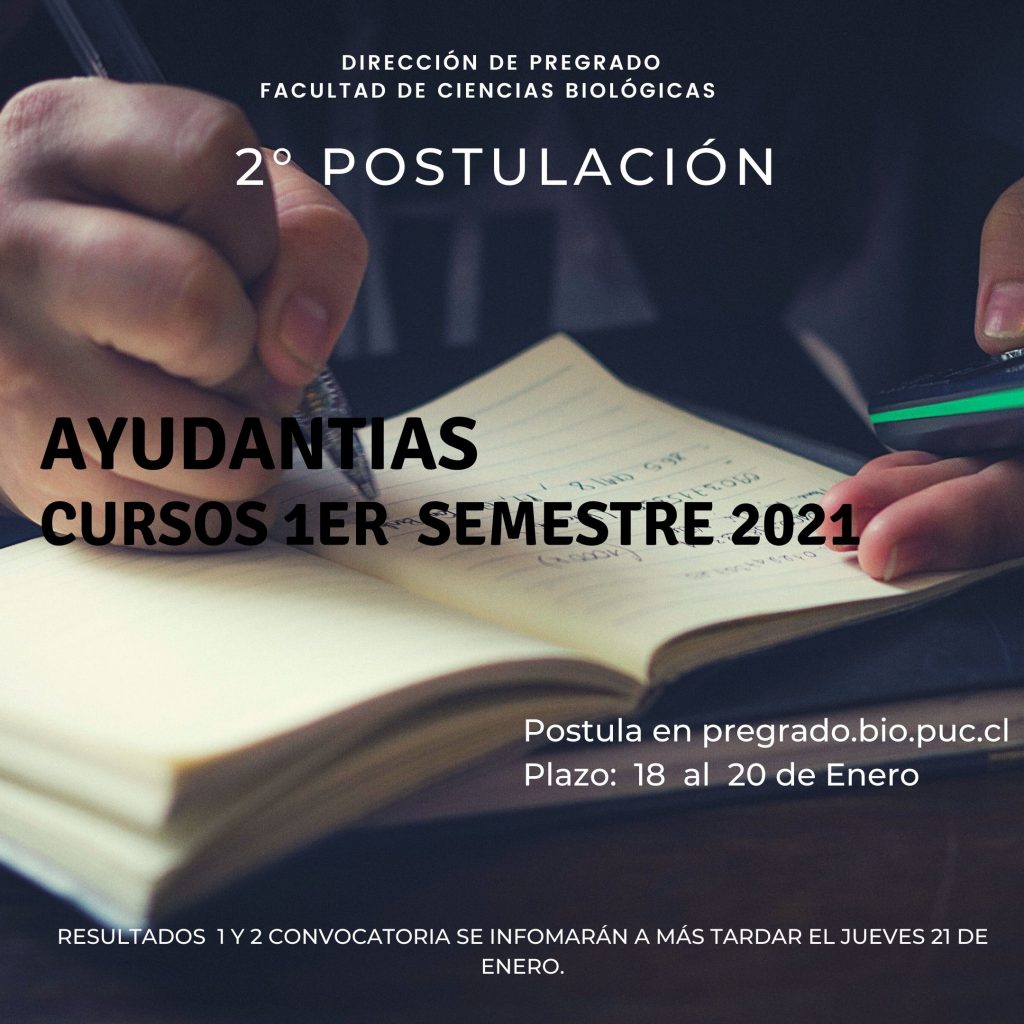 Segunda Postulaci N Ayudant As Primer Semestre Programas De